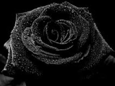 કાળો રંગ 