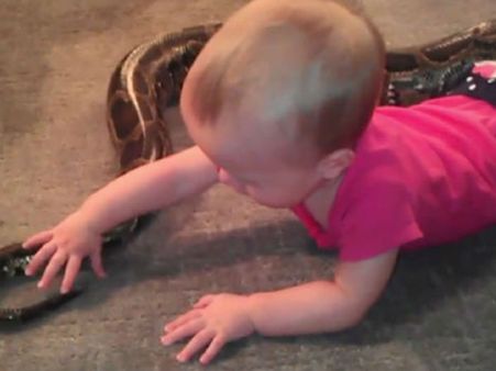 વીડિયો: જયારે 14 મહિનાની છોકરીએ 14 ફૂટના અજગરને નવડાવ્યો