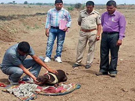 ઝઘડિયામાં ગુમ થયેલી બાળકીની અડધી દટાયેલી લાશ મળતા ચકચાર 