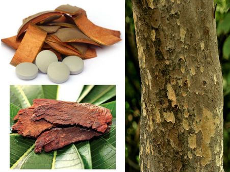 અર્જૂનની છાલ