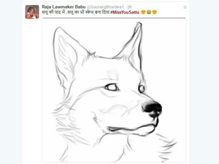 સત્તુનો સ્કેચ 