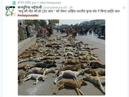 પ્રદર્શન 