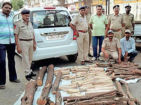 સાવરકુંડલામાં 50 લાખની કિંમતનું 300 કિલો સફેદ ચંદન જબ્બે