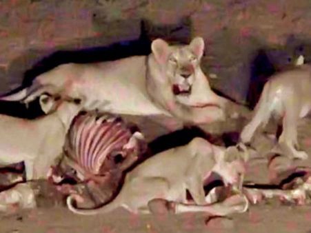 ઉંમર છે માત્ર 8 વર્ષ, સજા મળી આજીવન કેદની