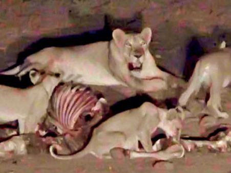 ભારતભરના મુખ્ય સમાચાર પર એક નજર...