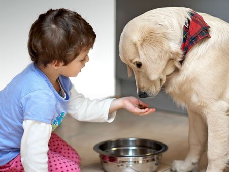 જાણો કયા જાનવરને ઘરમાં રાખવો છે કે શુભ..