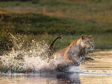 ભારતભરના મુખ્ય સમાચાર પર એક નજર...