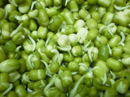 આરોગ્ય અને મગ