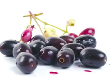 રથયાત્રામાં પ્રસાદ