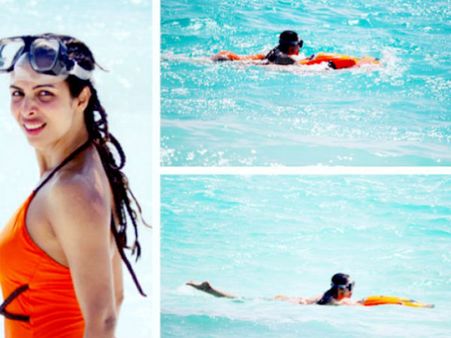 મલાઇકા અરોરા ખાનની માલદીવની કેટલીક હોટ તસવીરો... મલાઇકા અરોરા ખાનની માલદીવની કેટલીક હોટ તસવીરો...