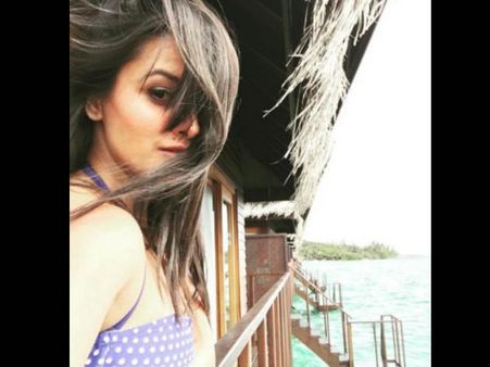 અનિતા હસનંદાની 