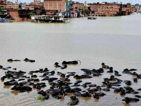 102 લોકોની મૌત 