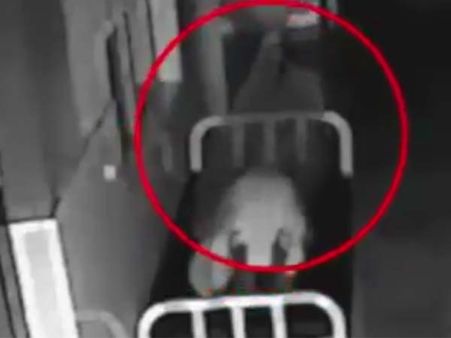 વીડિયો: મૃત શરીરથી નીકળતી આત્મા, કેમરામાં થઇ કેદ!