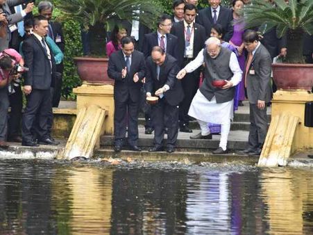 માછલીઓને મઝા