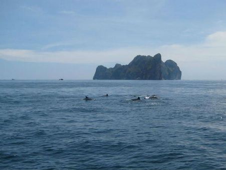 વિક્રમ શીલા ડોલ્ફિન ગંગા અભ્યારણ