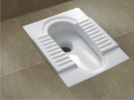 શૌચાલયનો ઉપયોગ કરો નહીં તો પછી તમારી જોડે થશે આ!