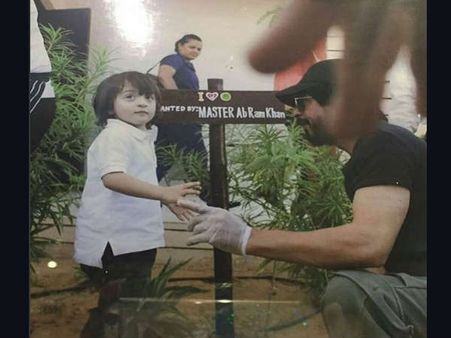 શાહરુખ ખાન તૈયાર કરી રહ્યા છે નવો શાહરુખ ખાન.. પોતાના જેવો મલ્ટી ટેલેંટેડ!