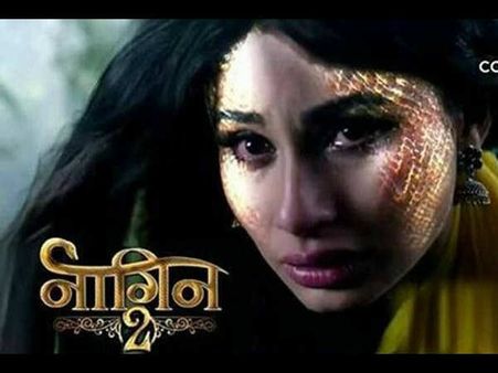 ટીવી રિપોર્ટ: ટોપ 5 માં બિગ બોસ નહિ, આ રહ્યા ટોપ 5 શો