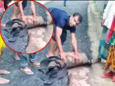 બિહારના રસ્તા વિશે વાયરલ થયુ જૂઠ