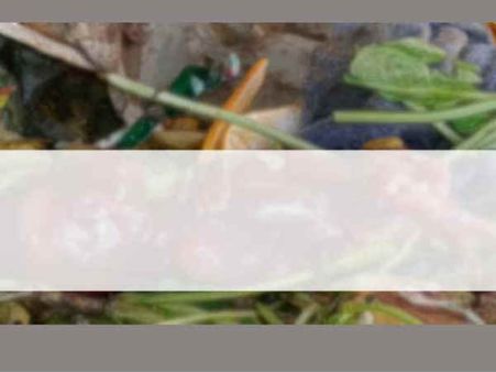 નવસારીના વિજલપોરમાં કચરાપેટીમાંથી મળ્યું બાળકીનું ભ્રૂણ