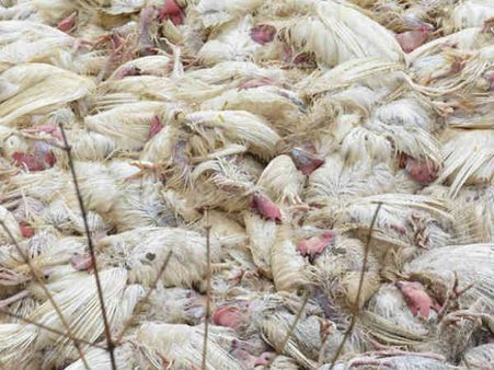 અમદાવાદમાં 