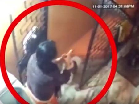 Video: સાસુ સસરા જોડે ઝગડો થયો તેમાં માંએ બાળકને સીડીથી ફેંક્યું