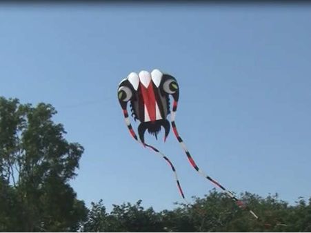 Photos: જામનગરમાં ઉજવાયો આંતરાષ્ટ્રીય પતંગ ઉત્સવ