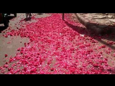 વડોદરામાં ખેડૂતોનો ગુલાબી વિરોધ, રસ્તા પર વેર્યા ગુલાબ