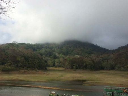 પેરીયાર લેક