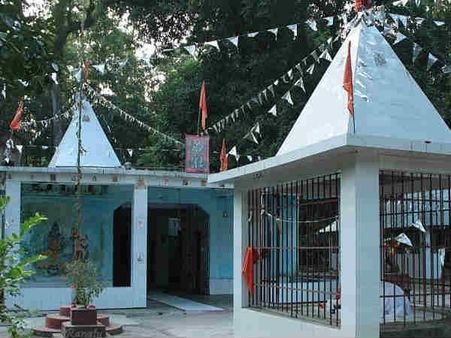 જંગલી મહારાજનુ મંદિર!