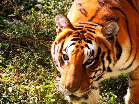 કટરાજ નાગ પાર્ક