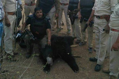 બનાસકાંઠામાં હડકંપ મચાવનાર હિંસક રીંછ ઠાર મરાયું