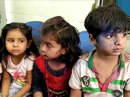 પાટણ માં 50 થી વધુ બાળકો સહીત ૩ શિક્ષકોને ભમરા કરડયા