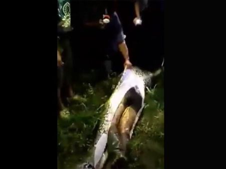 અકબર સાલુબિરો