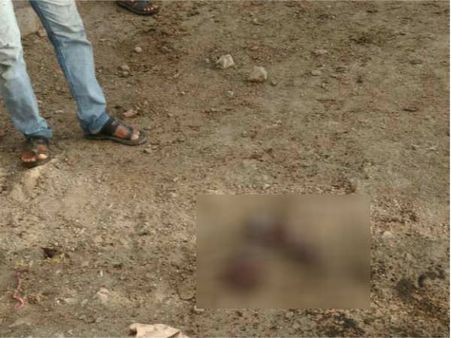 કુતિયાણાના માંથી વધુ એક નવજાત શિશુ મૃત હાલતમાં મળી આવ્યું