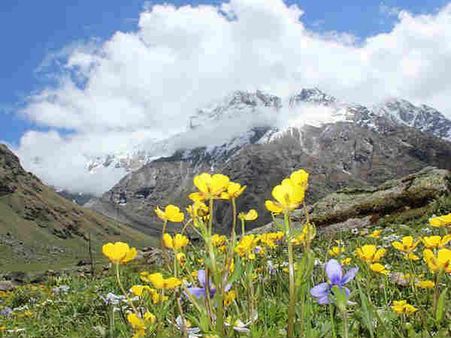 ફ્લાવર વેલી, ઉત્તરાખંડ