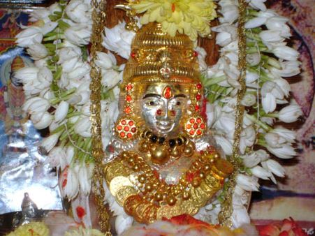 મધ્યમ ફળ આપનાર