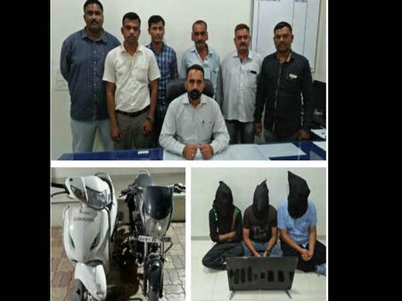 IPL મેચ પર સટ્ટો રમાડતા 3 બુકીઓ ઝડપાયા