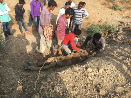 ભરૂચ : અંદાડા ગામના ગુમ સરપંચની લાશ મળી!