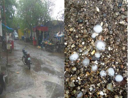 હવામાન અને તાપમાન બન્નેનો યુટર્ન : સૌરાષ્ટ્રમાં કમોસમી વરસાદ