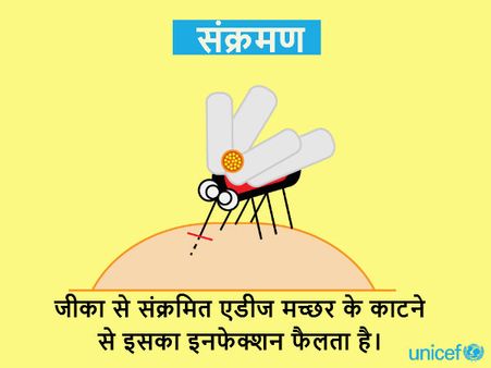 શું છે જીકો વાયરસ