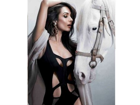 મલાઇકા અને અર્જૂન કપૂર