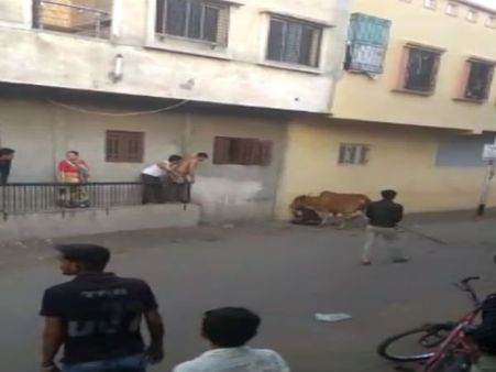 Video: સુરતમાં ગાયે બાઈક ચાલક પર કર્યો હુમલો!