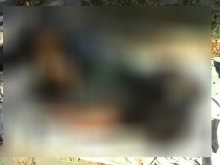 પ્રેમિકાની હત્યા કરી ફરાર થયેલ આરોપી ઝડપાયો