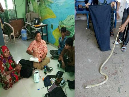 સાપના ઝેરની દવા બનાવી ખોટી રીતે છેતરપીંડી કરતી ગેંગ પકડાઇ