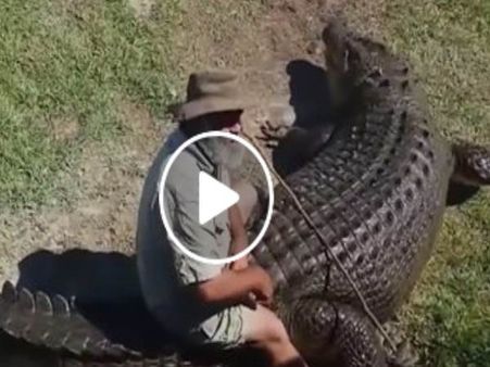 Viral: મગરની પીઠ પર સવારી કરતા માણસનો રોમાંચક વીડિયો