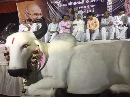 ગૌહત્યા પર ગુજરાતનું રાજકારણ ગૌહત્યા પર ગુજરાતનું રાજકારણ