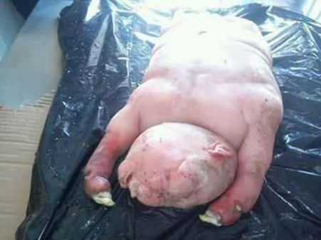 સાઉથ આફ્રિકા