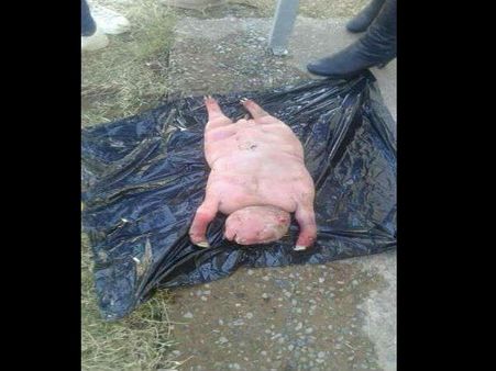 મરેલું બાળક થયું જીવતું