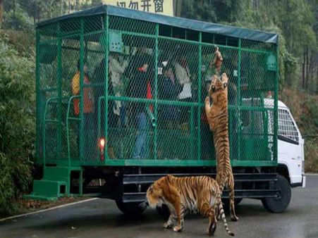 ચીનનું ફેમસ ડેસ્ટિનેશન